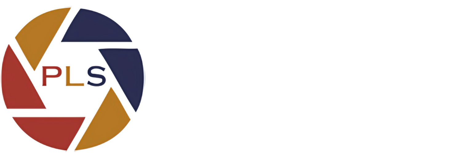 Paklink Servce Footer Logo
